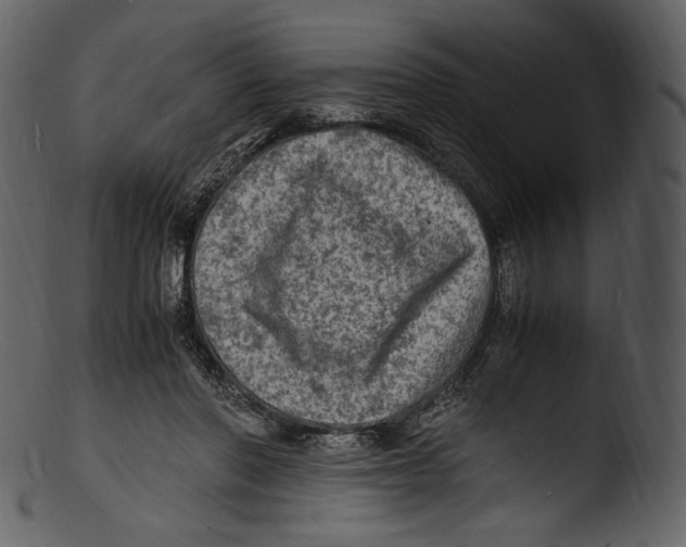 X0000103250406200809251356