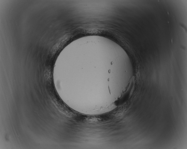 X0000103250407200809251356