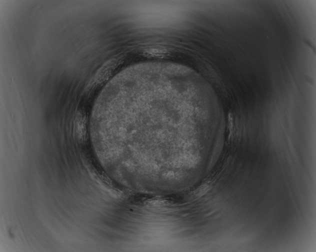 X0000103250408200809251356