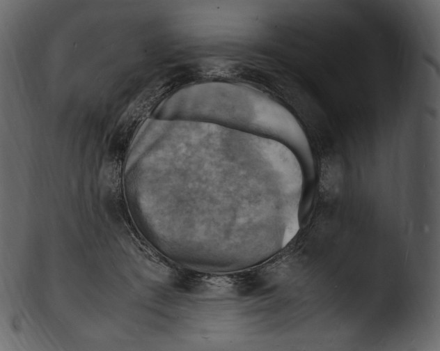 X0000103250409200809251356