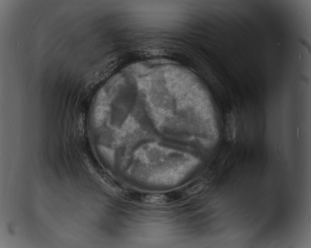 X0000103250410200809251356