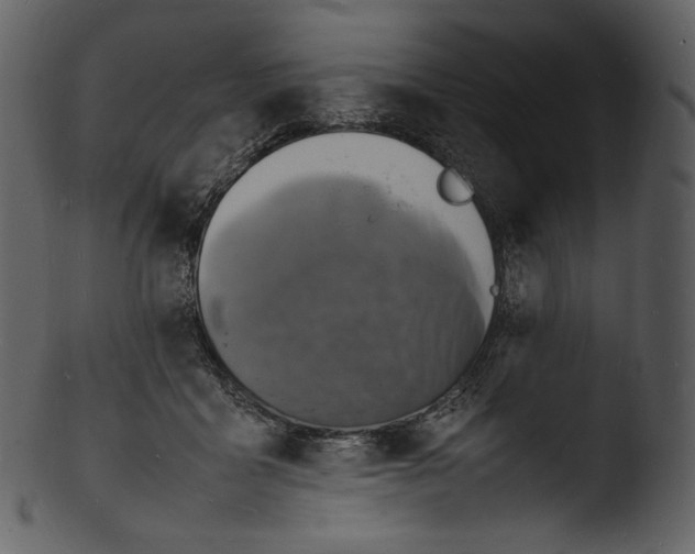 X0000103250411200809251356