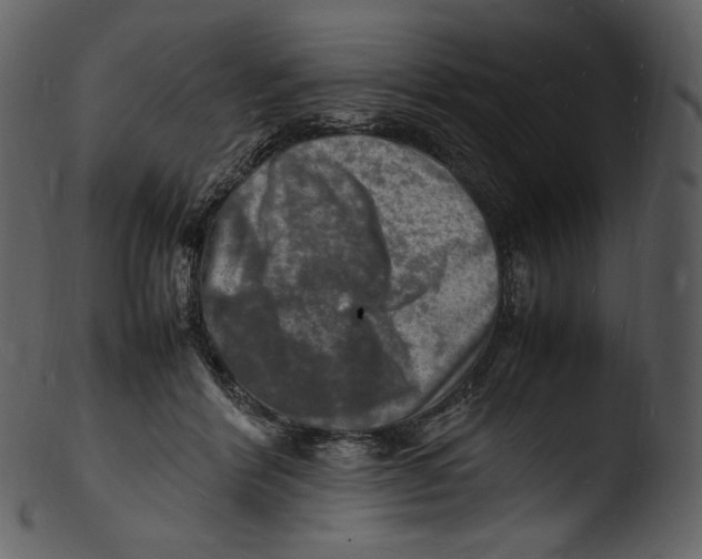 X0000103250412200809251356