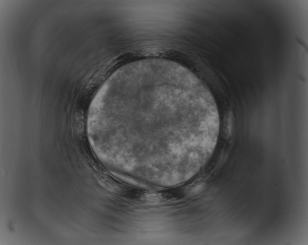 X0000103250413200809251356
