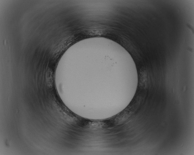 X0000103250414200809251356
