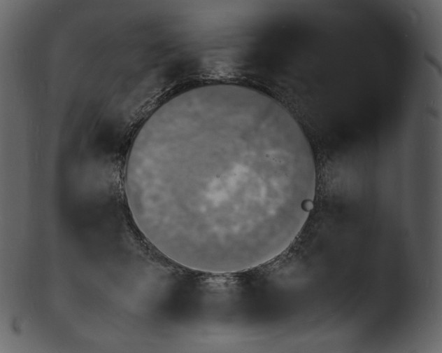 X0000103250415200809251356