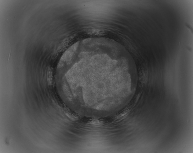 X0000103250416200809251356