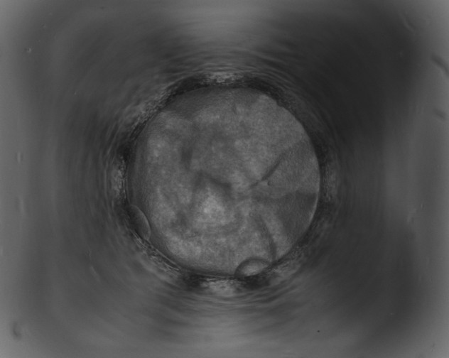 X0000103250417200809251356