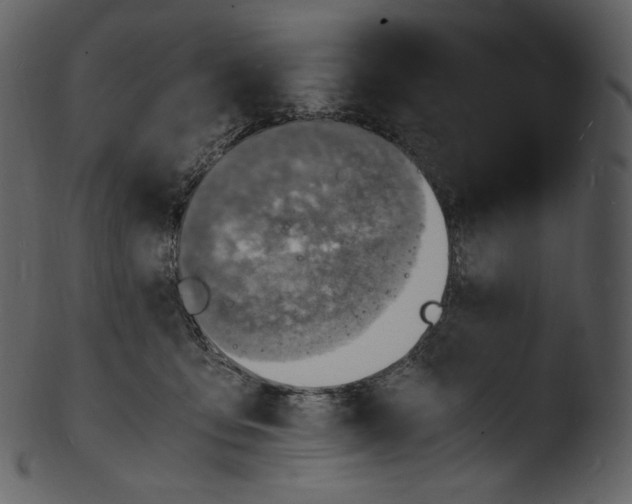 X0000103250419200809251356