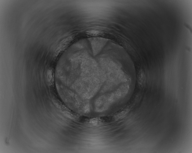 X0000103250420200809251356