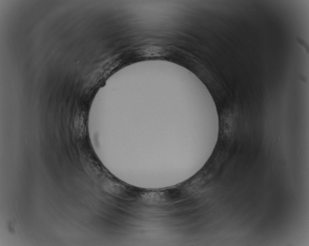 X0000103250422200809251356