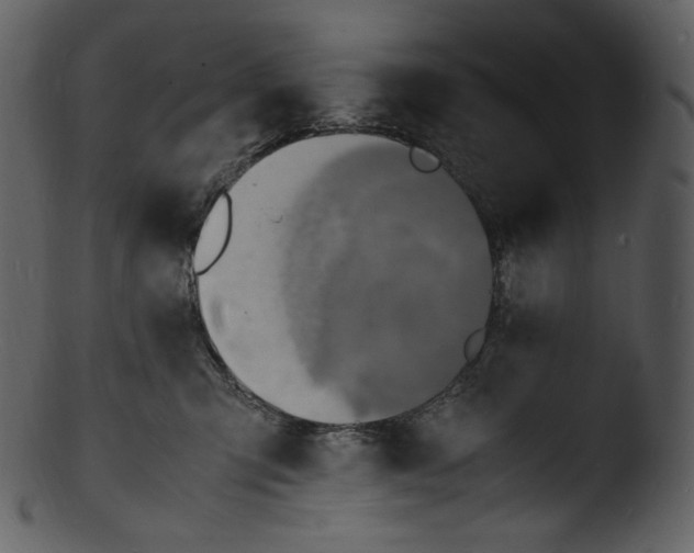 X0000103250423200809251356
