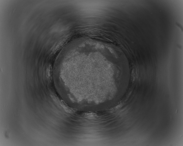 X0000103250424200809251356