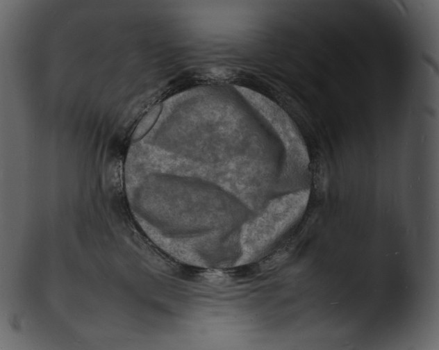 X0000103250425200809251356
