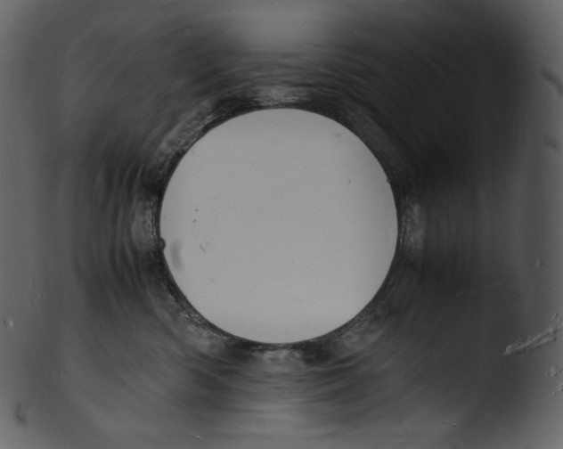 X0000103250426200809251356