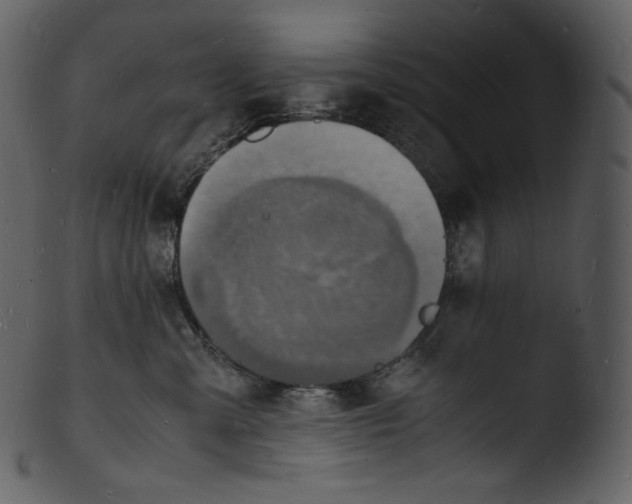 X0000103250427200809251356
