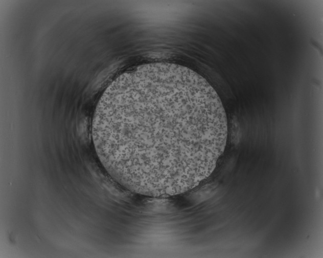 X0000103250428200809251356