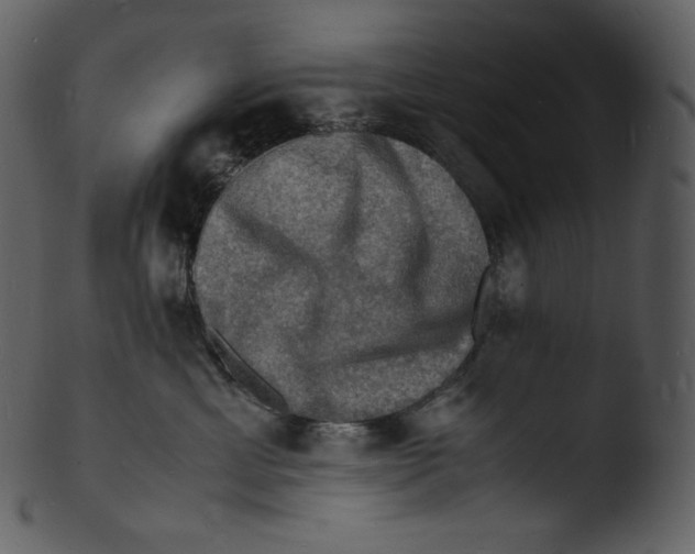 X0000103250429200809251356