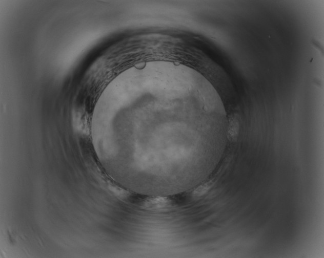 X0000103250431200809251356