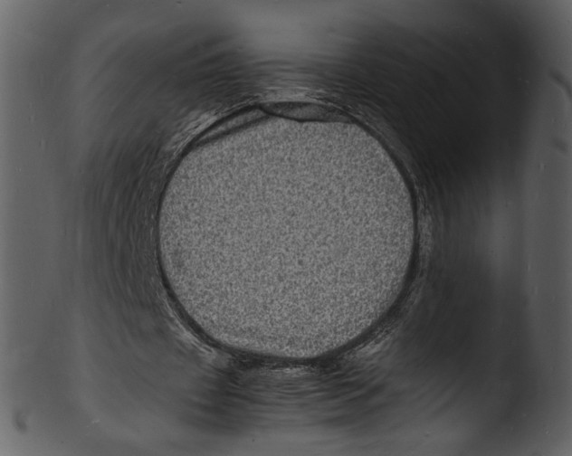 X0000103250433200809251355