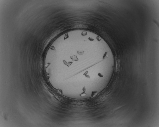 X0000103250435200809251355