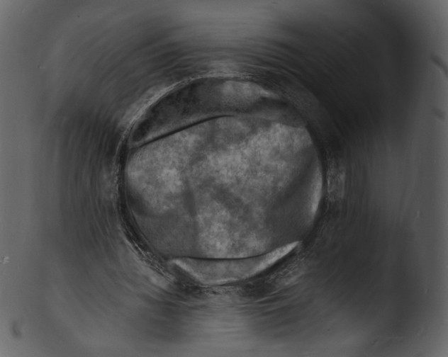 X0000103250436200809251355