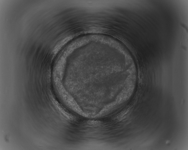 X0000103250437200809251355