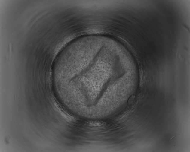 X0000103250439200809251355