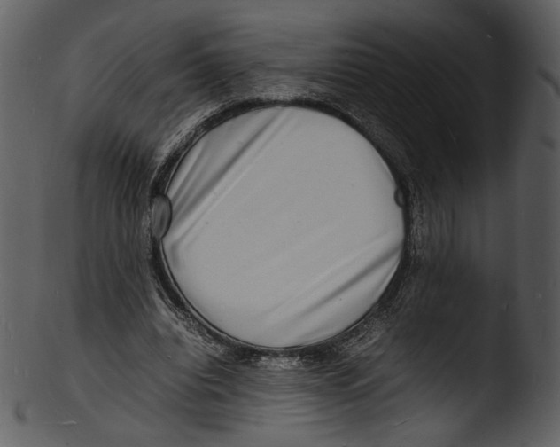 X0000103250440200809251355