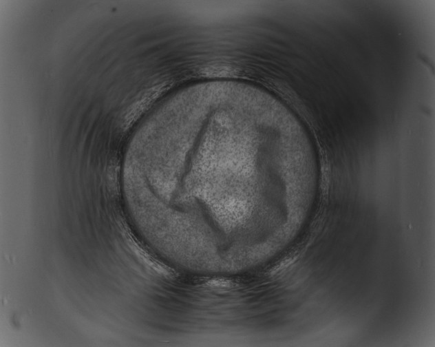 X0000103250441200809251355