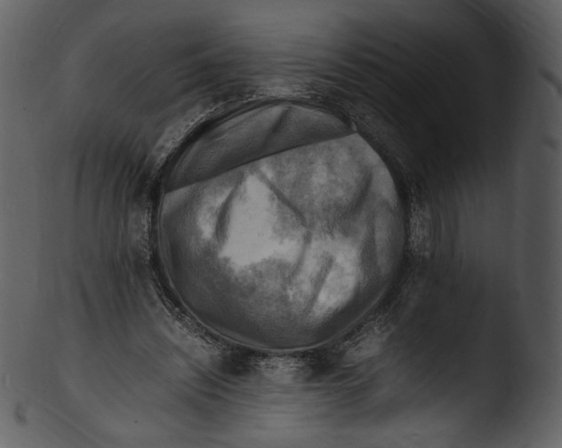 X0000103250444200809251355