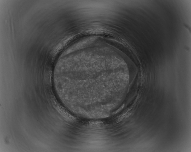 X0000103250446200809251355