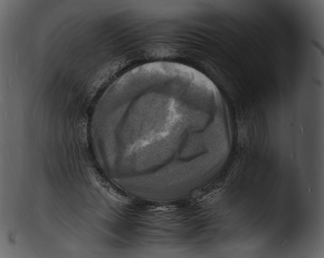 X0000103250447200809251355