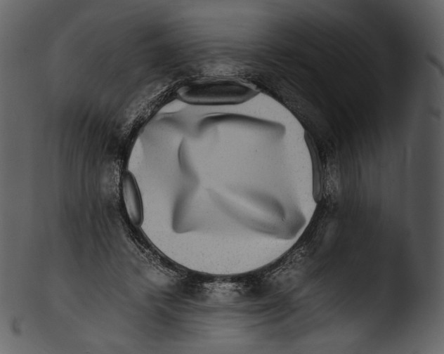 X0000103250448200809251355