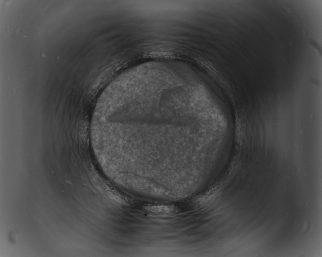 X0000103250449200809251355