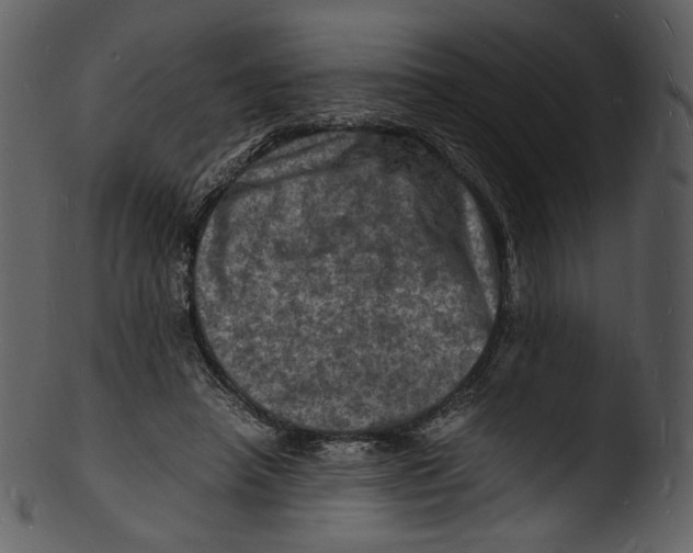 X0000103250450200809251355