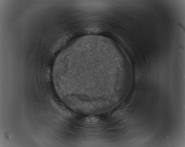 X0000103250451200809251355