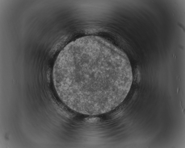 X0000103250452200809251355