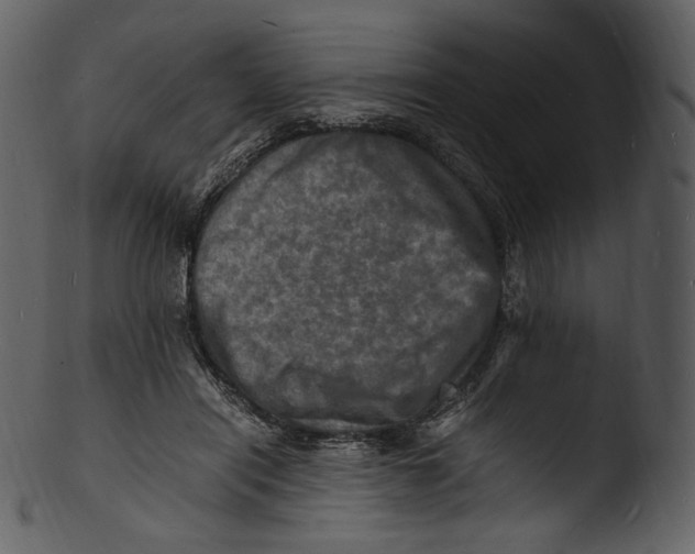X0000103250454200809251355