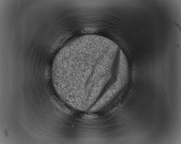 X0000103250455200809251355