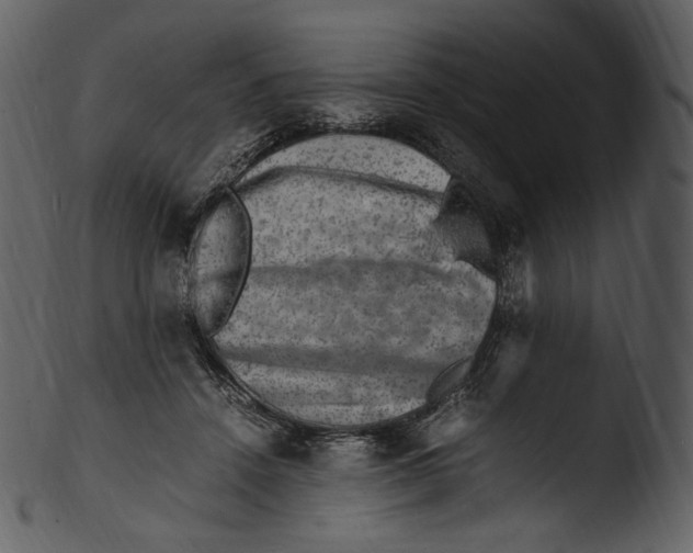 X0000103250456200809251355
