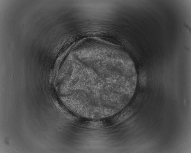 X0000103250458200809251355