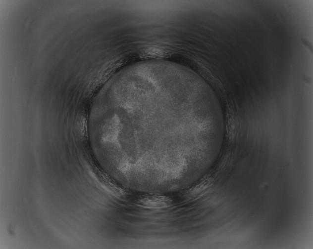 X0000103250459200809251355