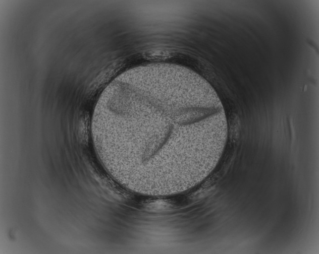 X0000103250460200809251355