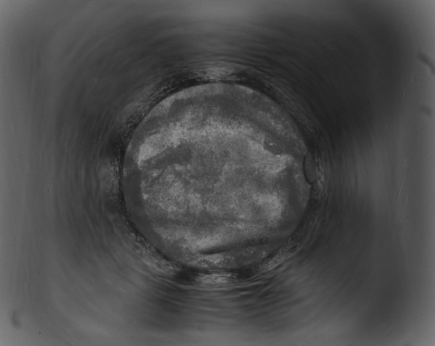 X0000103250461200809251355