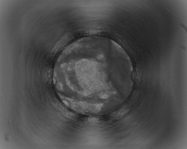 X0000103250462200809251355
