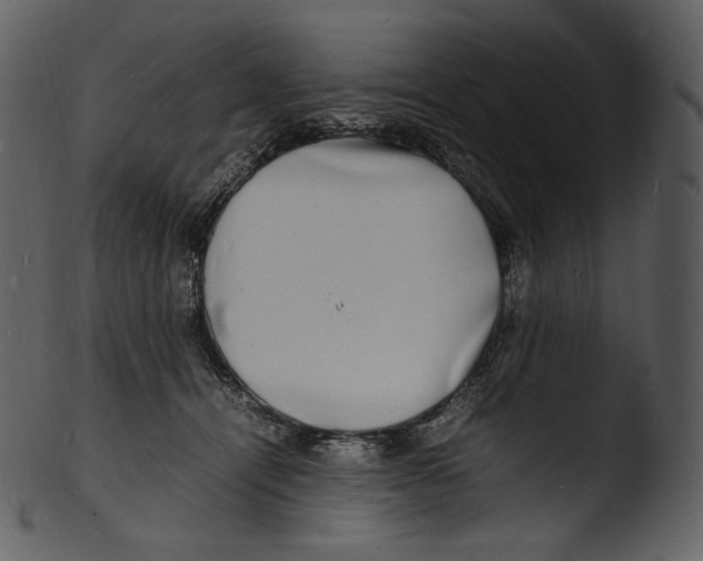 X0000103250464200809251355