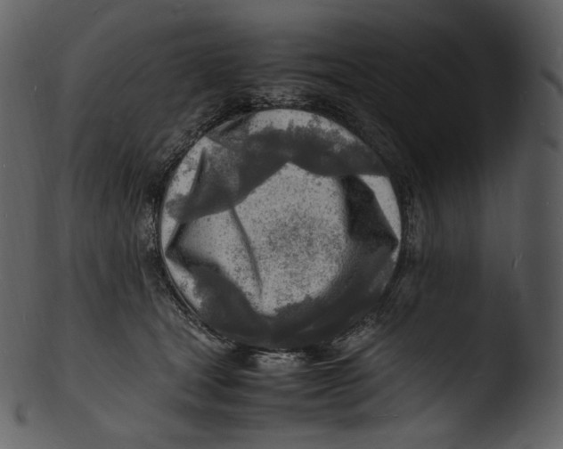 X0000103250465200809251355