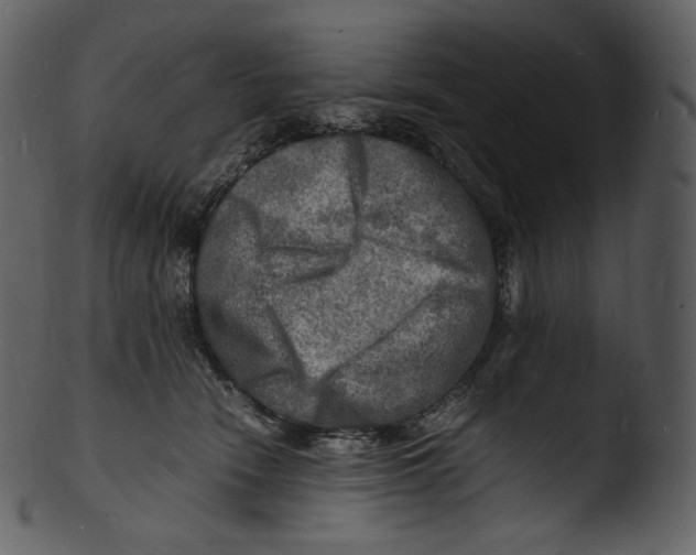X0000103250466200809251355