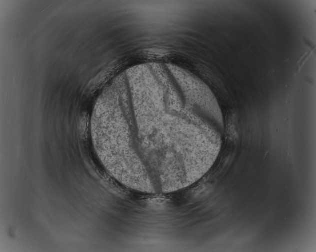 X0000103250468200809251355
